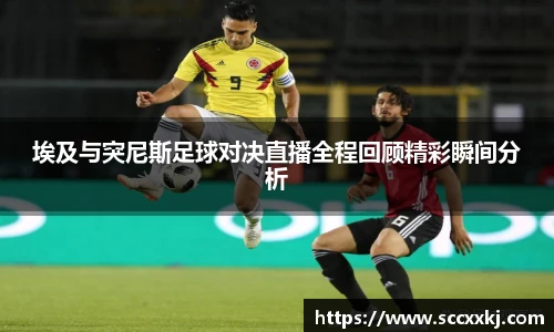 埃及与突尼斯足球对决直播全程回顾精彩瞬间分析